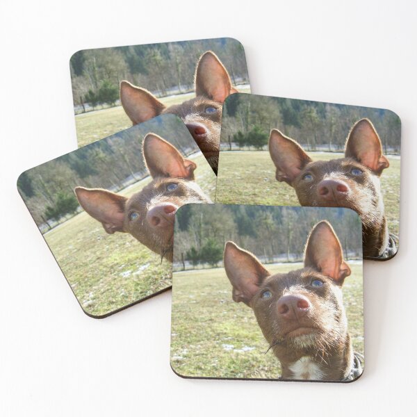 Item preview, Dreamy Podenco designed and sold by whippetmuse.