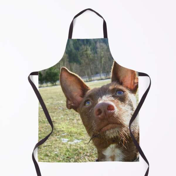 Item preview, Dreamy Podenco designed and sold by whippetmuse.