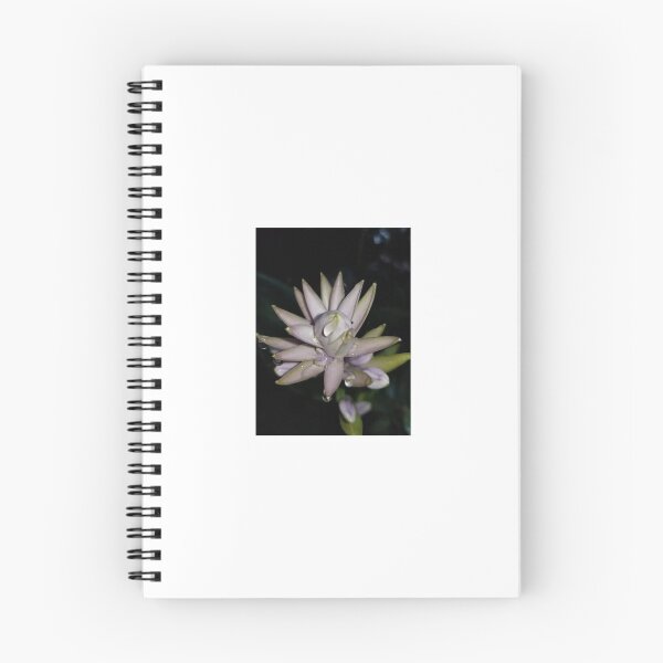 Artikelvorschau, Hosta Bloom Morgentau entworfen und verkauft von goldnzrule.
