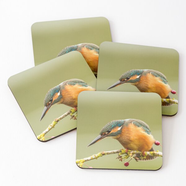 Item preview, Kingfisher on Hawthorn Branch designed and sold by Jane Stanley Photography.