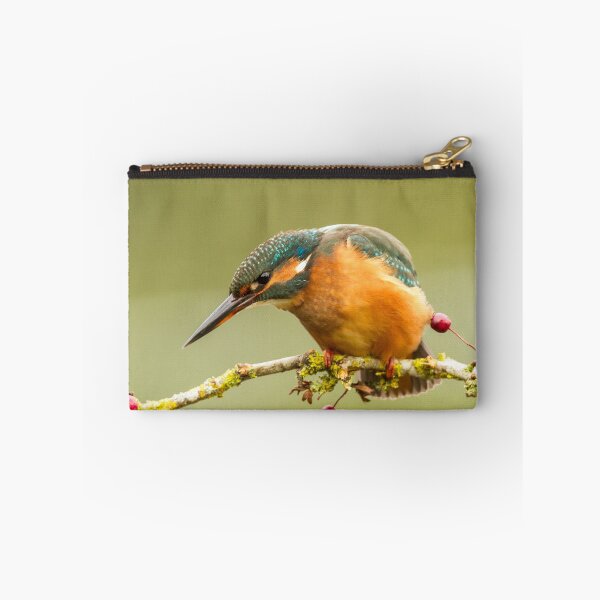 Item preview, Kingfisher on Hawthorn Branch designed and sold by Jane Stanley Photography.