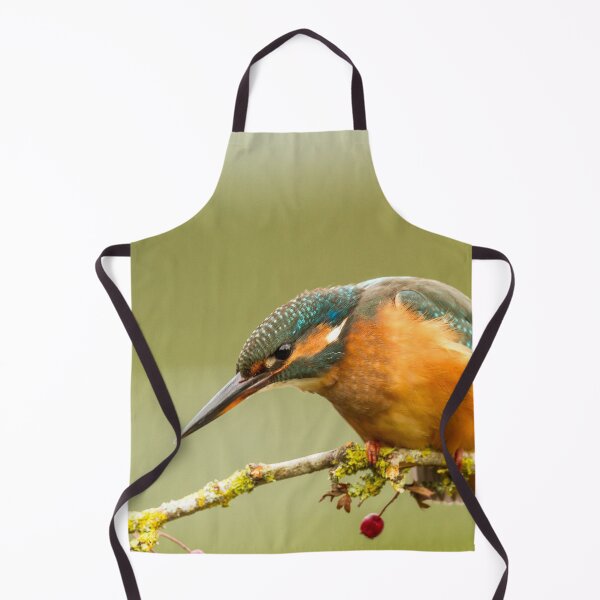 Item preview, Kingfisher on Hawthorn Branch designed and sold by Jane Stanley Photography.