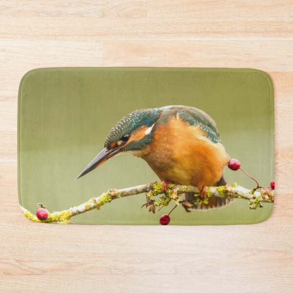 Item preview, Kingfisher on Hawthorn Branch designed and sold by Jane Stanley Photography.