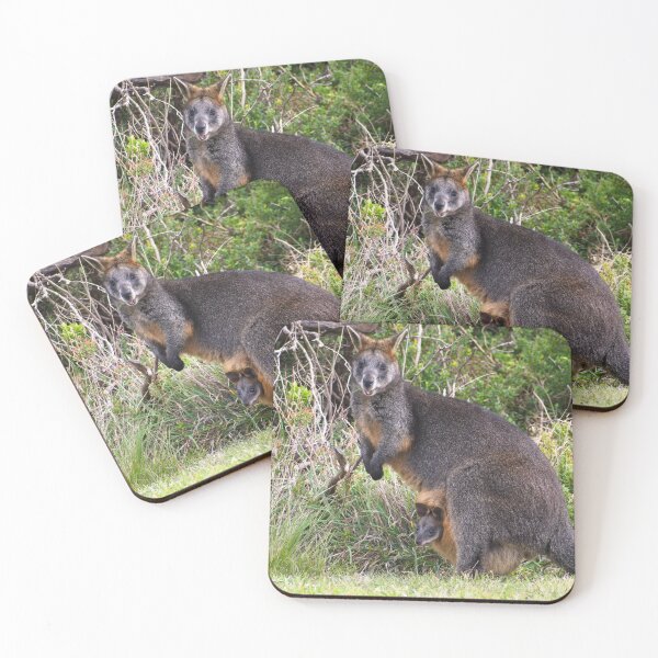 Item preview, Mother Wallaby with Baby in Pouch   designed and sold by Clayton Captures.