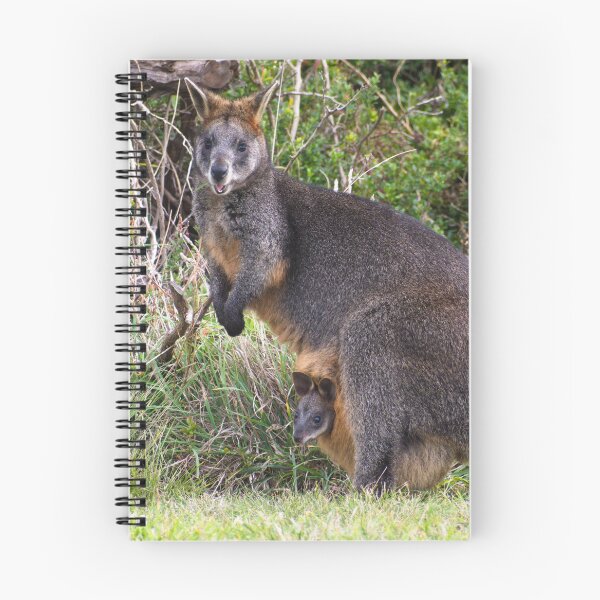 Item preview, Wallaby madre con su cría en bolsa designed and sold by Clayton Captures.