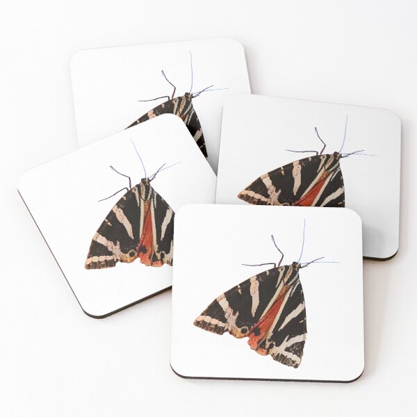 Item preview, Moth designed and sold by di-Vera-Rosati.