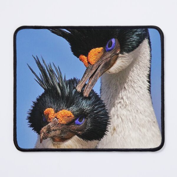 Item preview, Couple of penguins designed and sold by di-Vera-Rosati.