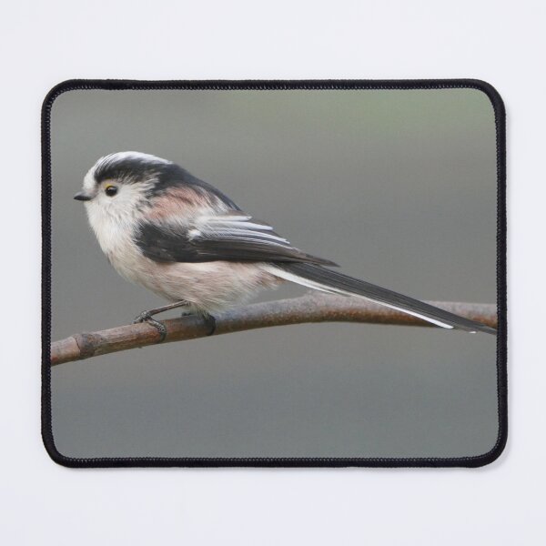 Item preview, long-tailed tit designed and sold by Cindy Motmans.