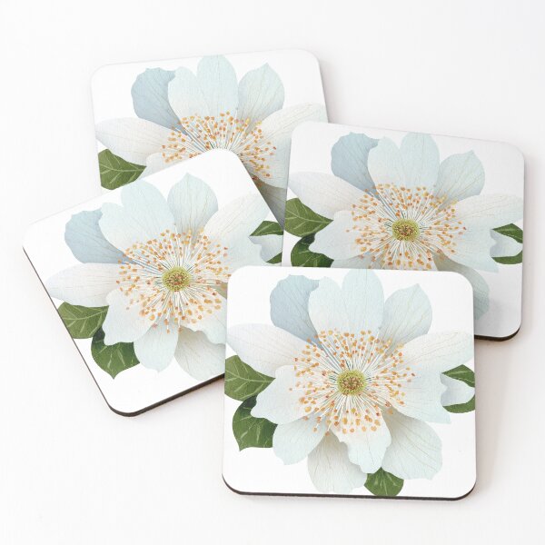 Item preview, gardenia designed and sold by Coastal Garden Design Studio.