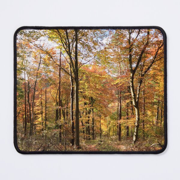 Item preview, Autumn Colour sWendover Woods designed and sold by Jim Key.