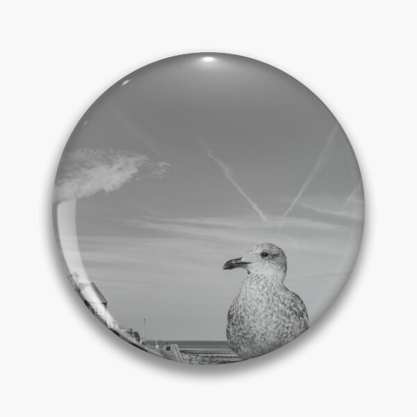 Item preview, Young gull on the promenade in Sheringham, Norfolk designed and sold by yackers1.