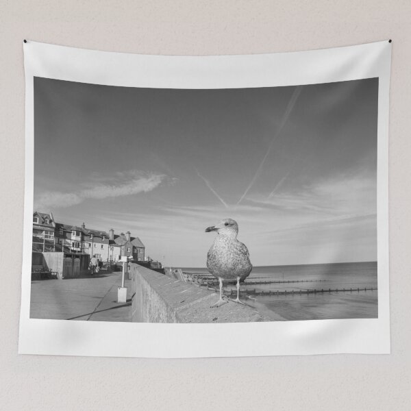 Item preview, Young gull on the promenade in Sheringham, Norfolk designed and sold by yackers1.