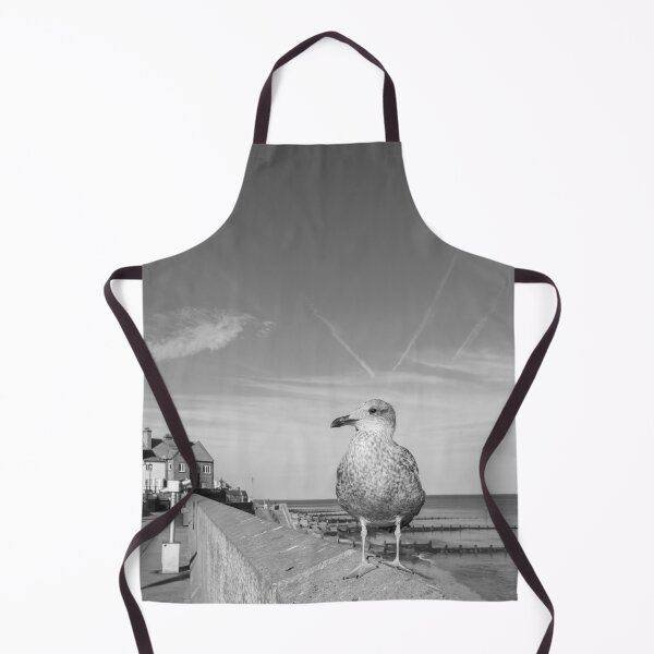 Item preview, Young gull on the promenade in Sheringham, Norfolk designed and sold by yackers1.
