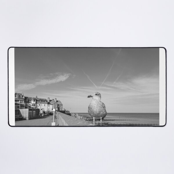 Item preview, Young gull on the promenade in Sheringham, Norfolk designed and sold by yackers1.