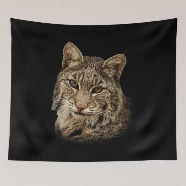 Item preview, Bobcat portrait designed and sold by Guardi71.