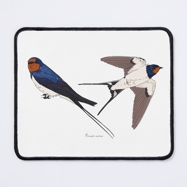 Item preview, Barn Swallow designed and sold by Luzeilustración.