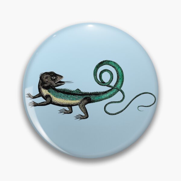Item preview, Seventeenth Century Natural History Lizard by Peter Artedi designed and sold by Pixelchicken.
