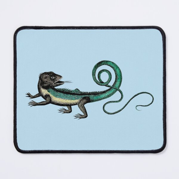 Item preview, Seventeenth Century Natural History Lizard by Peter Artedi designed and sold by Pixelchicken.