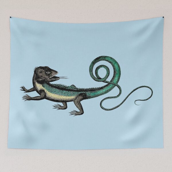 Item preview, Seventeenth Century Natural History Lizard by Peter Artedi designed and sold by Pixelchicken.