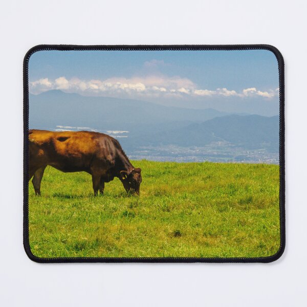 Item preview, Grazing Cow on Tateshina Highland Ranch, Nagano, Japan designed and sold by Pix4Japan.