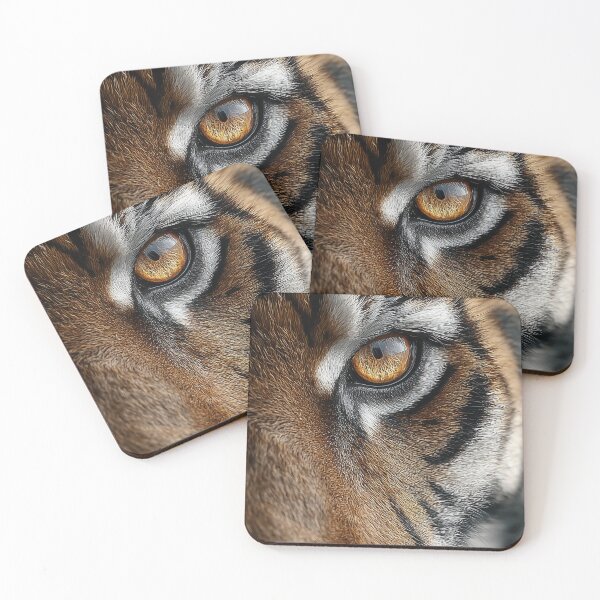 Item preview, Tiger's gaze designed and sold by valerko26.