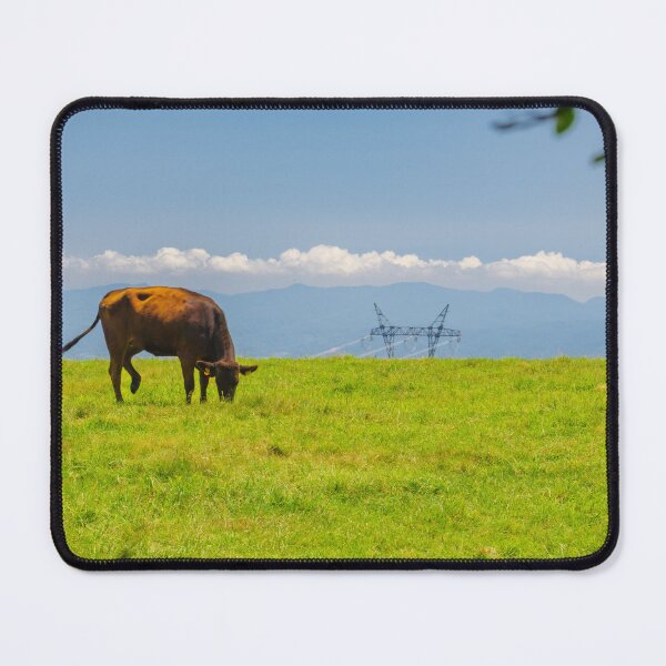Item preview, Grazing Cow on Tateshina Highland Ranch, Nagano, Japan designed and sold by Pix4Japan.