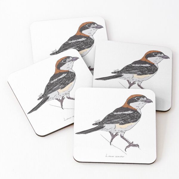 Item preview, Woodchat Shrike designed and sold by Luzeilustración.