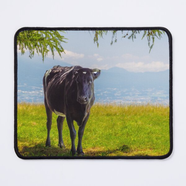 Item preview, Cow on under Tree Shade on Tateshina Highland Ranch, Nagano, Japan designed and sold by Pix4Japan.