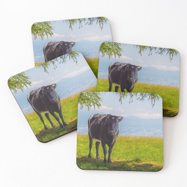Item preview, Cow on under Tree Shade on Tateshina Highland Ranch, Nagano, Japan designed and sold by Pix4Japan.