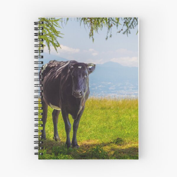 Item preview, Cow on under Tree Shade on Tateshina Highland Ranch, Nagano, Japan designed and sold by Pix4Japan.