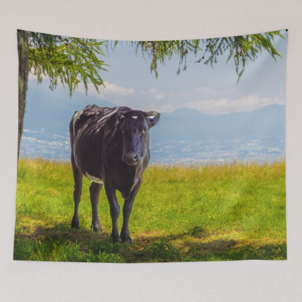 Item preview, Cow on under Tree Shade on Tateshina Highland Ranch, Nagano, Japan designed and sold by Pix4Japan.