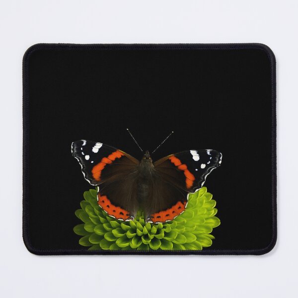 Item preview, Red admiral butterfly on a Chrysanthemum. designed and sold by moths-minor.