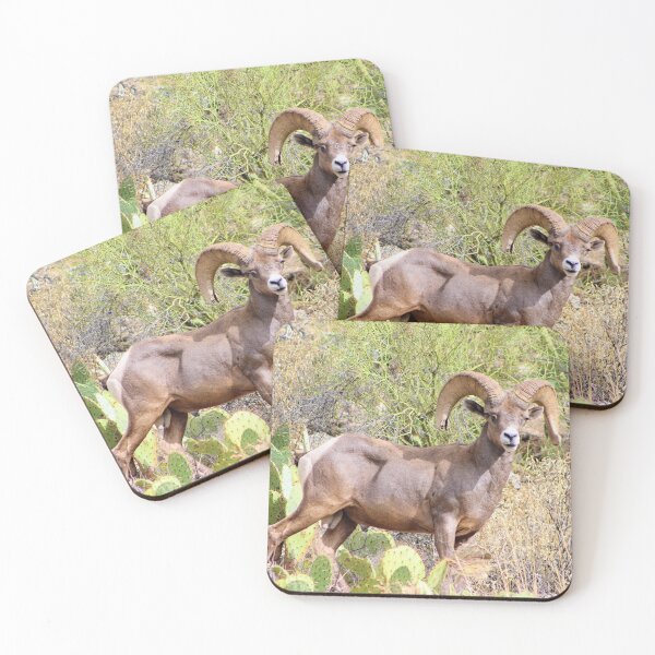Item preview, Majestic Male Big Horn Sheep designed and sold by simonjayphotos.