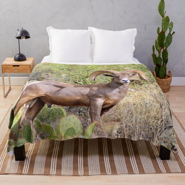 Item preview, Majestic Male Big Horn Sheep designed and sold by simonjayphotos.