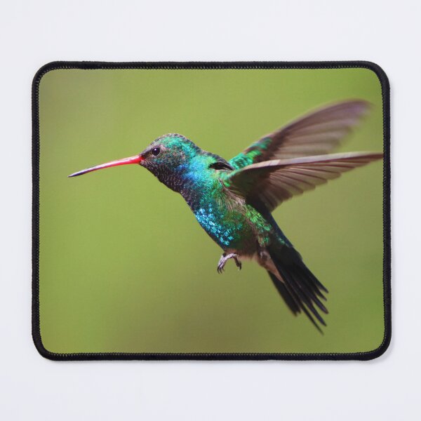 Item preview, Stunning Humming Bird designed and sold by simonjayphotos.