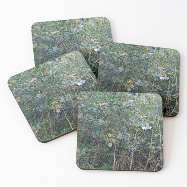 Item preview, The perfection of the forest and life designed and sold by DjeriK.