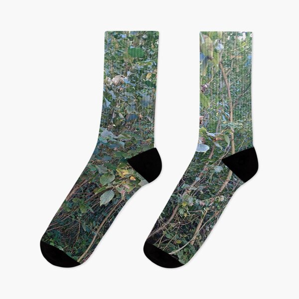Item preview, The perfection of the forest and life designed and sold by DjeriK.
