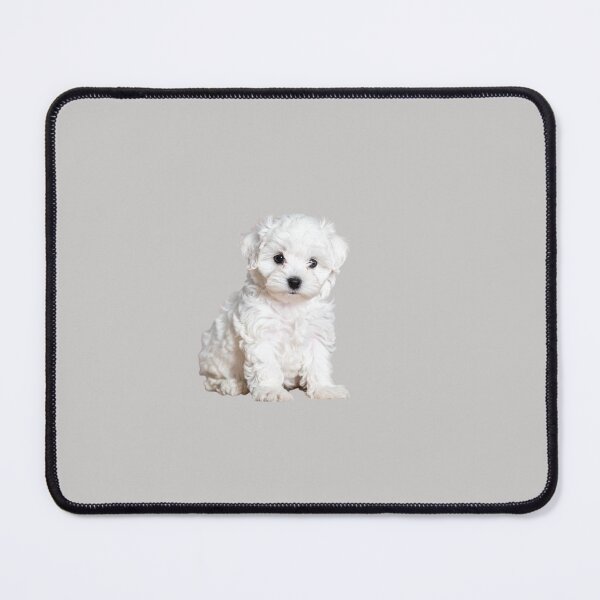 Item preview, Adorable Maltese Bichon Puppy Portrait | Fluffy White Dog Photography | Cute Puppy Macro Shot designed and sold by PixelVibe782.