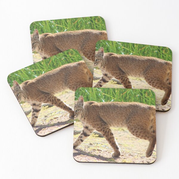 Item preview, Gorgeous Bobcat designed and sold by simonjayphotos.