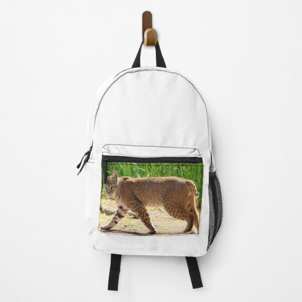 Item preview, Gorgeous Bobcat designed and sold by simonjayphotos.