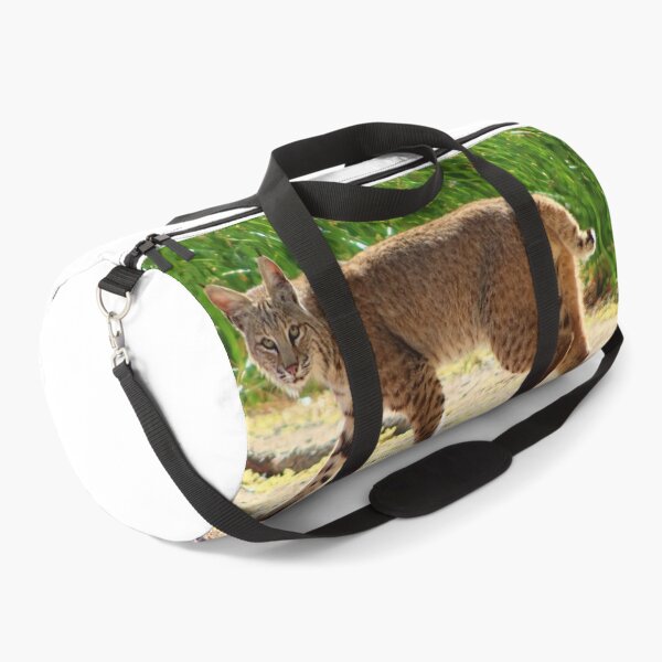 Item preview, Gorgeous Bobcat designed and sold by simonjayphotos.