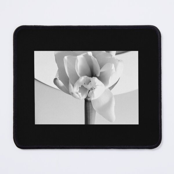 Item preview, Elegant white flower designed and sold by Soli Deo Gloria.
