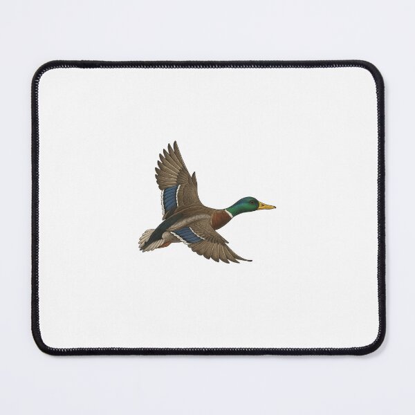 Item preview, Male mallard in flight designed and sold by Chasse et pêche .