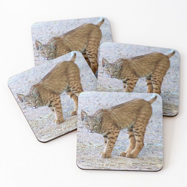 Item preview, Stunning Bobcat designed and sold by simonjayphotos.