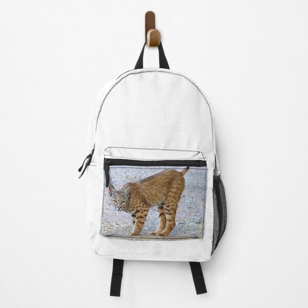 Item preview, Stunning Bobcat designed and sold by simonjayphotos.