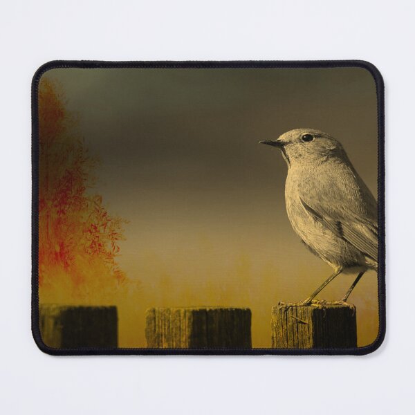 Item preview, Songbird On A Fence designed and sold by James DeFazio.