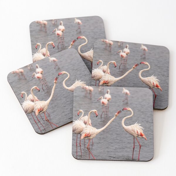 Item preview, Flamingos Interacting – Elegant African Wildlife Photography designed and sold by DavideAntoniani.