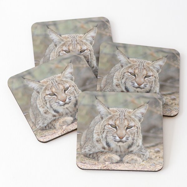 Item preview, Beautiful Bobcat designed and sold by simonjayphotos.