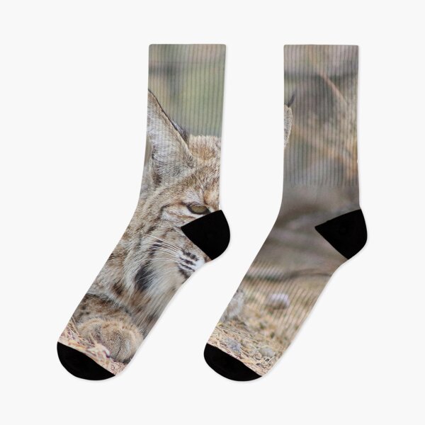 Item preview, Beautiful Bobcat designed and sold by simonjayphotos.
