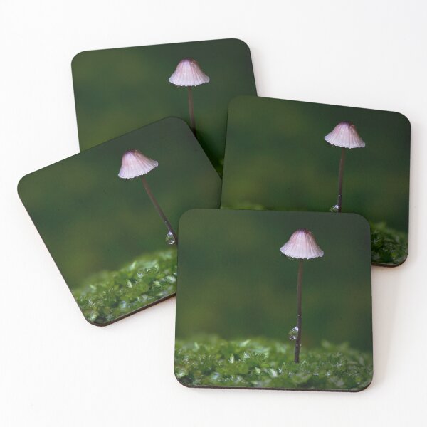 Item preview, Tiny Toadstools designed and sold by RedGrouse.